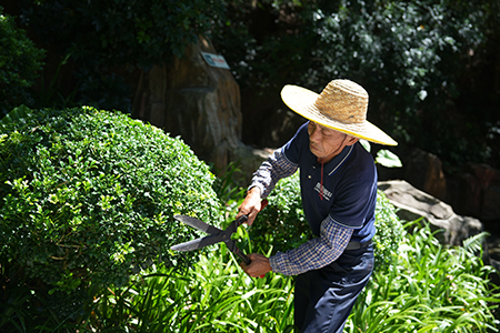 yl23455����(�й�)���޹�˾