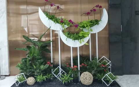 ���ܰڷŹ�˾���������� ��ֲ���޼�Ǯ��������������