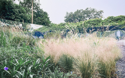 yl23455����(�й�)���޹�˾