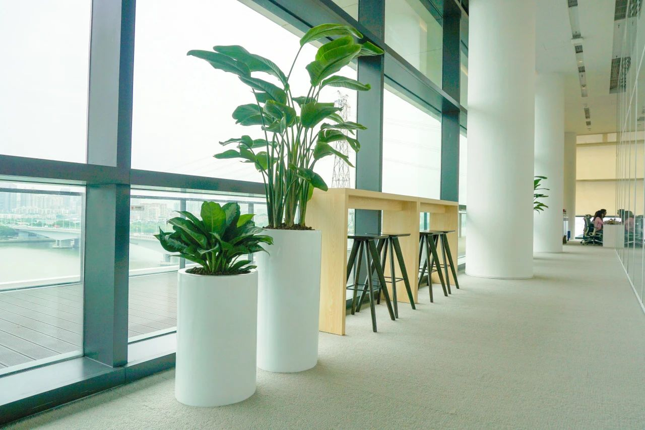 yl23455����(�й�)���޹�˾