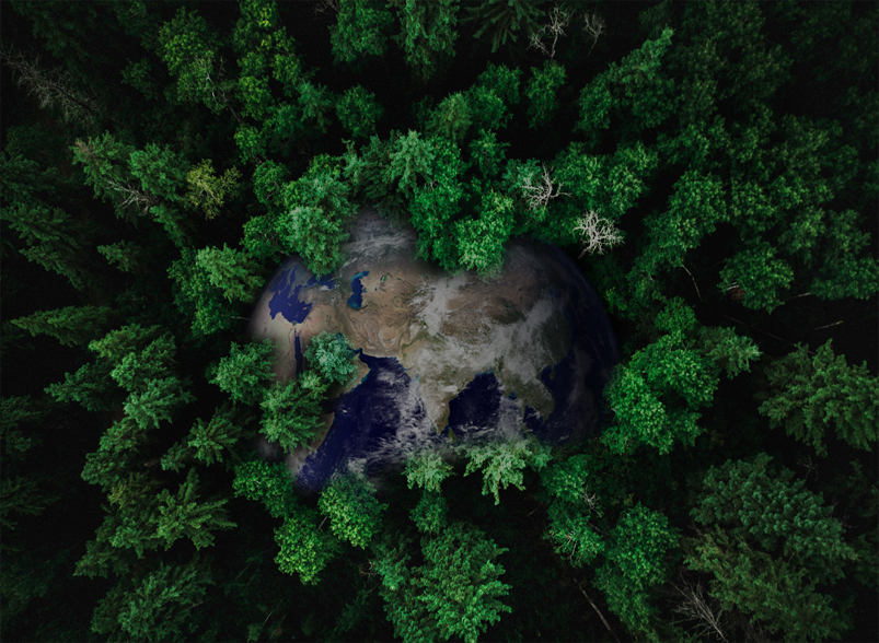 yl23455����(�й�)���޹�˾